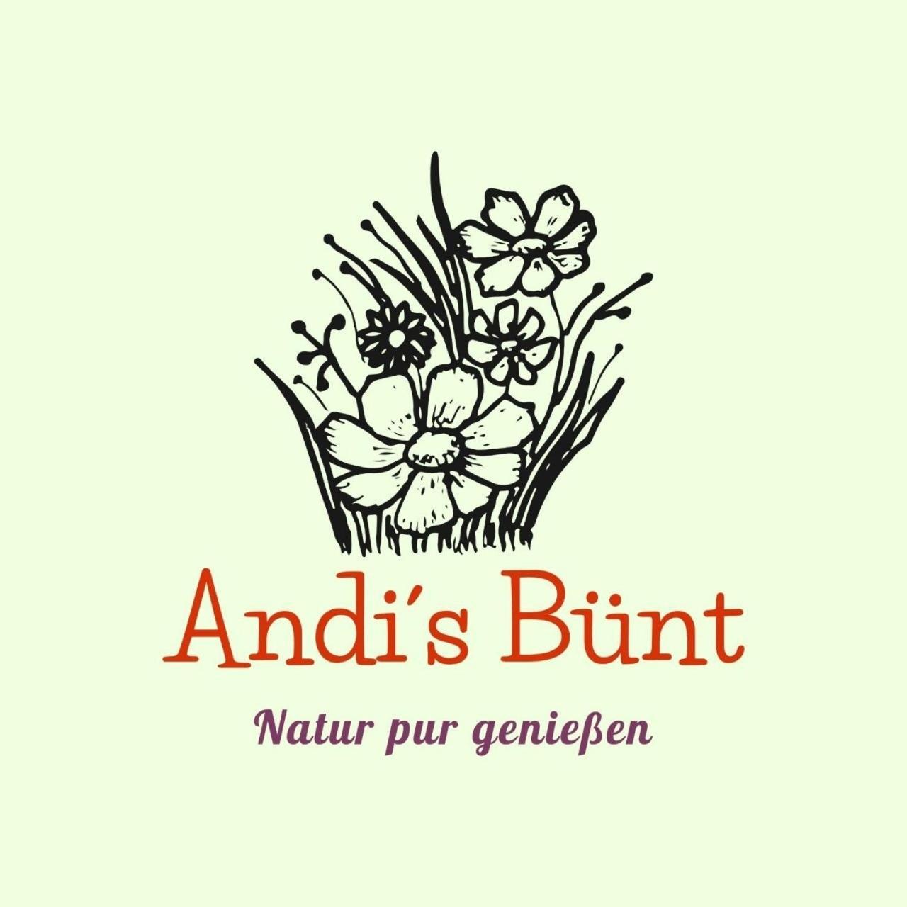 Andis Buent Villa Bizau Exterior photo